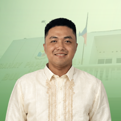 HON. FRANCIS DAVE C. CANTOS
